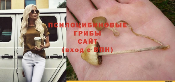 прущие крисы Арсеньев